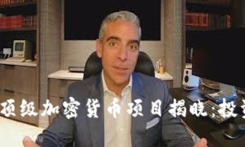 2023年顶级加密货币项目揭晓：投资者必看
