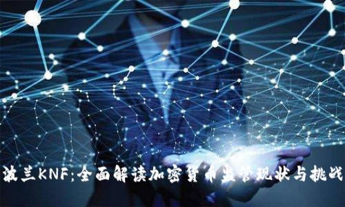 波兰KNF：全面解读加密货币监管现状与挑战