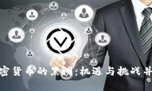 加密货币的黑洞：机遇与挑战并存