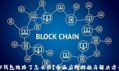 TP钱包跑路了怎么办？全面应对措施与