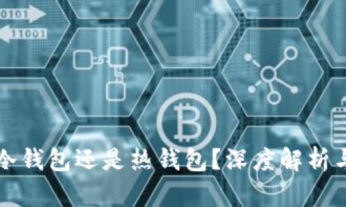 TP钱包是冷钱包还是热钱包?深度解析与用法指南