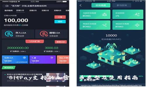 BitPay支持的加密货币类型及使用指南