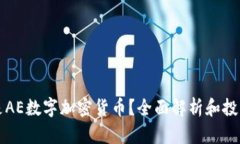 什么是AE数字加密货币？全面解析和投