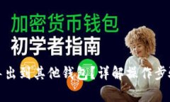 TP钱包能否导出到其他钱包？详解操作
