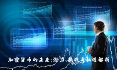 加密货币的未来：潜力、挑战与机遇解