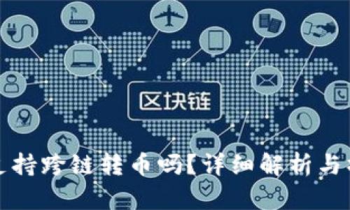 TP钱包支持跨链转币吗？详细解析与操作指南