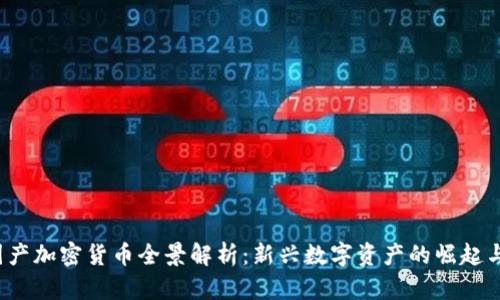 2023年国产加密货币全景解析：新兴数字资产的崛起与未来展望