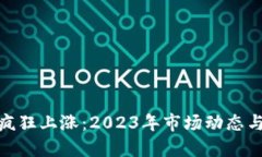 加密货币疯狂上涨：2023年市场动态与