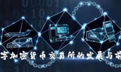 中国数字加密货币交易所的发展与前景