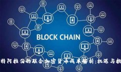 沙特阿拉伯的联合加密货币成本解析：