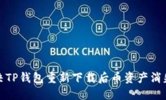 如何解决TP钱包重新下载后币资产消失
