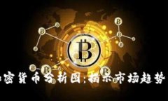深入解析加密货币分析图：揭示市场趋