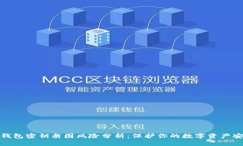 TP钱包密钥截图风险分析：保护你的数字资产安全