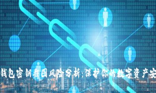 TP钱包密钥截图风险分析：保护你的数字资产安全