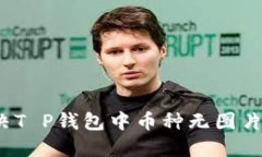 如何解决T P钱包中币种无图片的问题？