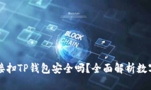 用浏览器直接扫TP钱包安全吗？全面解析数字钱包安全性
