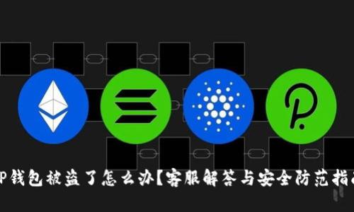 TP钱包被盗了怎么办？客服解答与安全防范指南