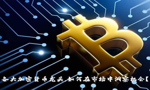 各大加密货币龙头，如何在市场中洞察机会？
