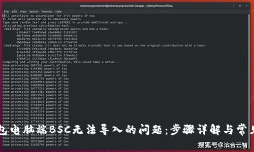 解决TP钱包电脑端BSC无法导入的问题：步骤详解与常见解决方案