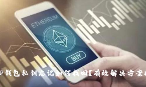 : TP钱包私钥忘记如何找回？有效解决方案指南