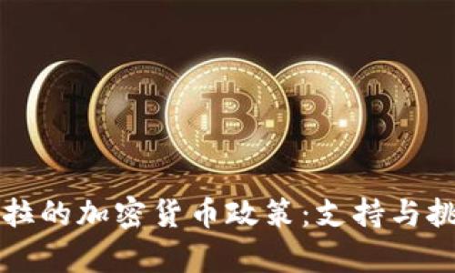 危地马拉的加密货币政策：支持与挑战解析
