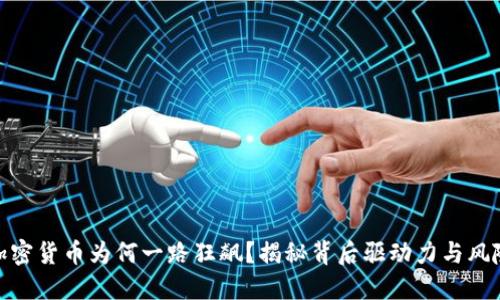 加密货币为何一路狂飙？揭秘背后驱动力与风险