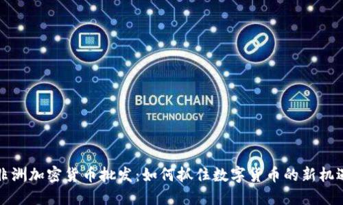 非洲加密货币批发：如何抓住数字货币的新机遇