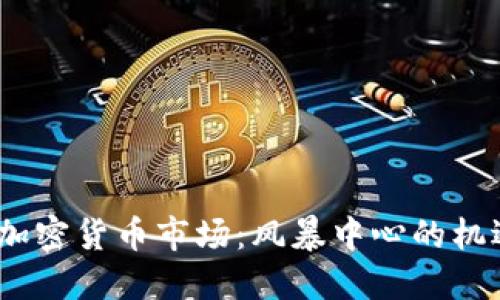 2017年加密货币市场：风暴中心的机遇与风险