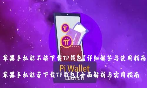 苹果手机能不能下载TP钱包？详细解答与使用指南

苹果手机能否下载TP钱包？全面解析与实用指南