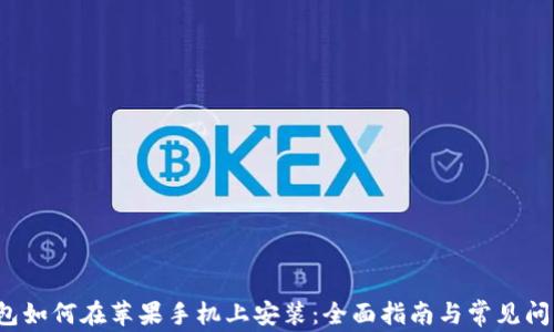 
t p钱包如何在苹果手机上安装：全面指南与常见问题解答