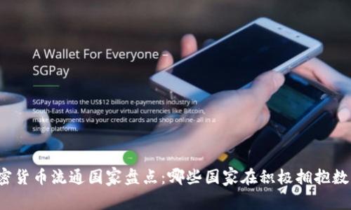 全球加密货币流通国家盘点：哪些国家在积极拥抱数字货币？