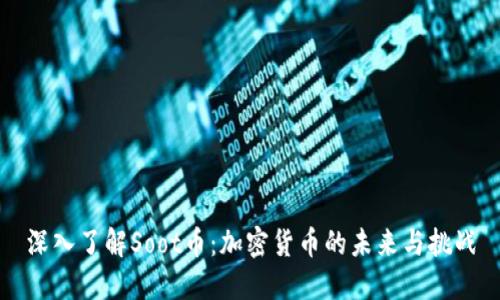深入了解Soot币：加密货币的未来与挑战