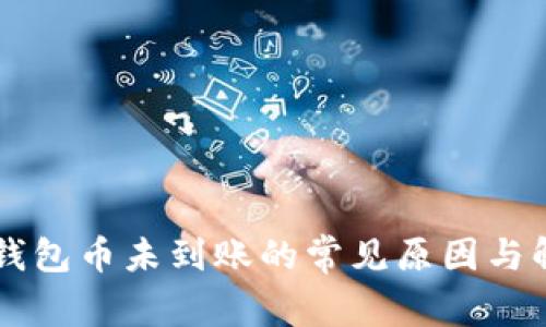 解决TP钱包币未到账的常见原因与解决方法
