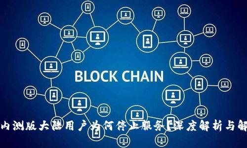 TP钱包内测版大陆用户为何停止服务？深度解析与解决方案