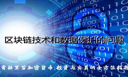 肯格里芬加密货币：投资与交易的全方位指南