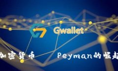 探索伊朗的加密货币——Peyman的崛起与