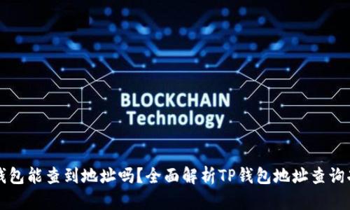 TP钱包能查到地址吗？全面解析TP钱包地址查询功能