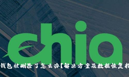 TP钱包被删除了怎么办？解决方案及数据恢复指南