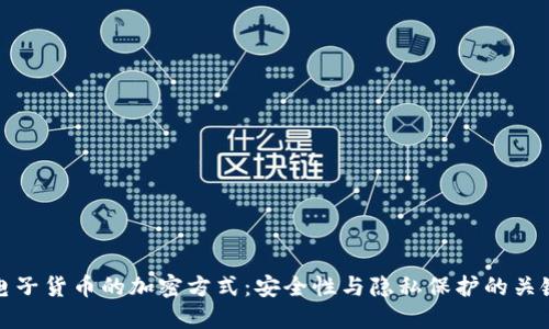 电子货币的加密方式：安全性与隐私保护的关键
