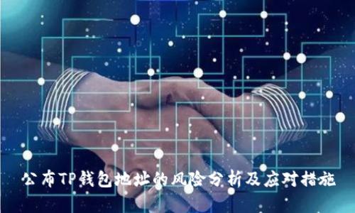 公布TP钱包地址的风险分析及应对措施