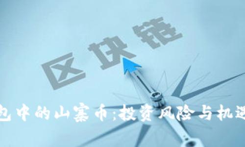 TP钱包中的山寨币：投资风险与机遇解析