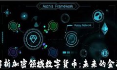 深度解析加密领域数字货币：未来的金