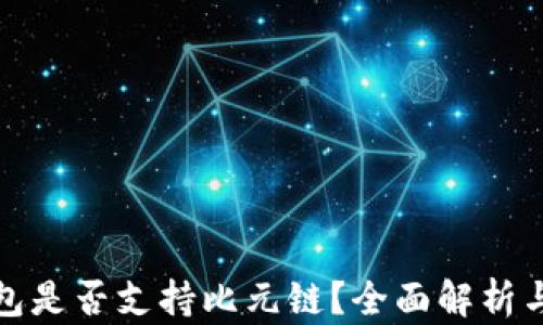 TP钱包是否支持比元链?全面解析与解答