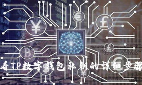 如何查看TP数字钱包私钥的详细步骤与技巧