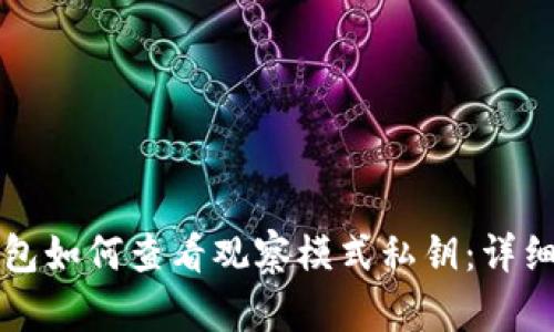 TP钱包如何查看观察模式私钥:详细指南