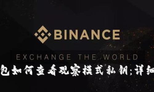 TP钱包如何查看观察模式私钥:详细指南