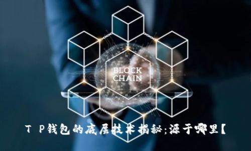 T P钱包的底层技术揭秘:源于哪里?