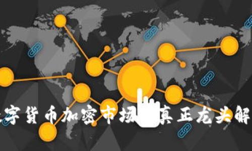 数字货币加密市场的真正龙头解析