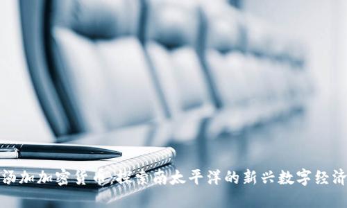 汤加加密货币：探索南太平洋的新兴数字经济